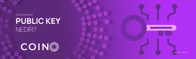 Public Key (Açık Anahtar) Nedir?